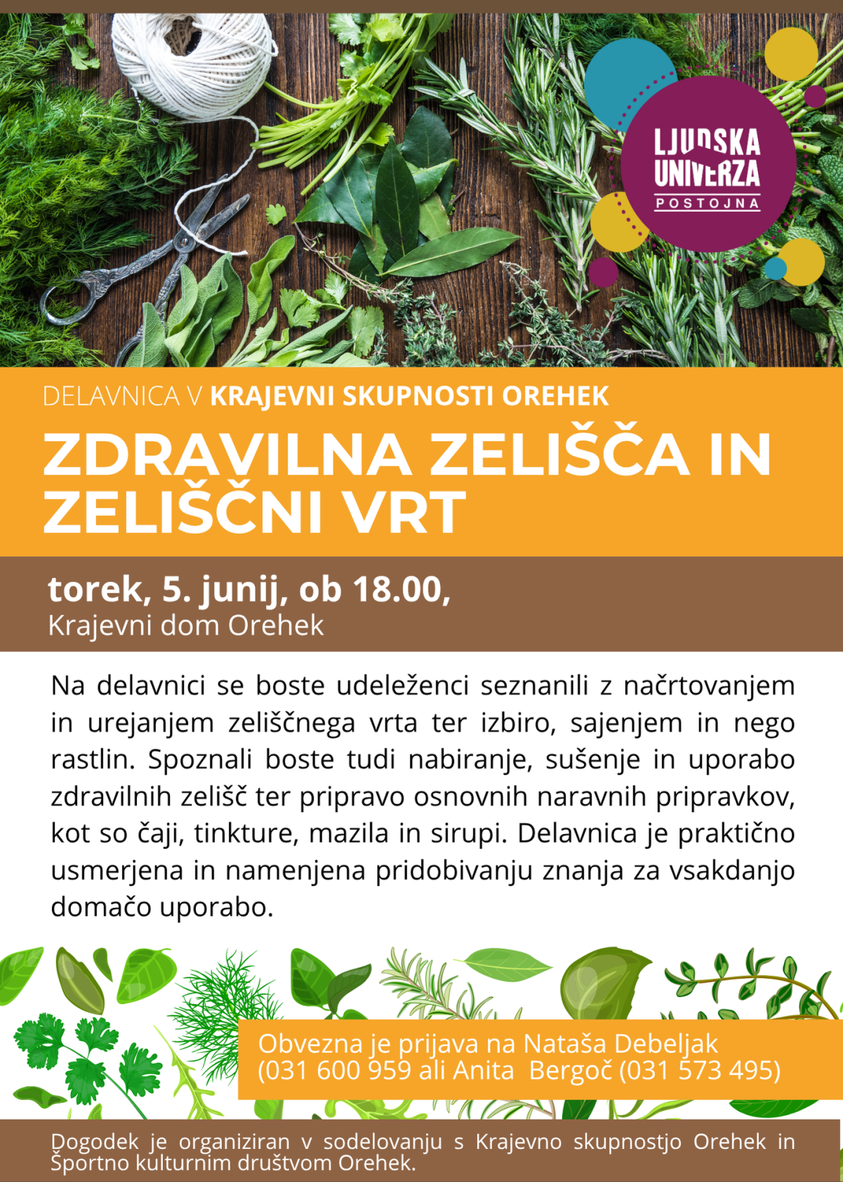 zdravilna zelišča in zeliščni vrt _ orehek